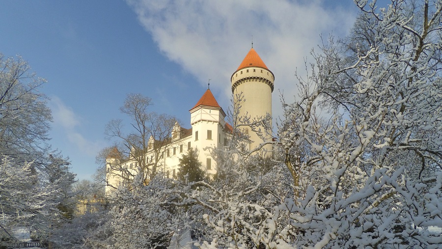 konopit_zimn_ilustran