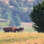 Česká menšina v Banátu ohrožena