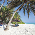 Historicky nejlepší umístění cestovní kanceláře