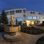 Niva pro relaxaci, pohodu a utužování vnitrofiremních vztahů