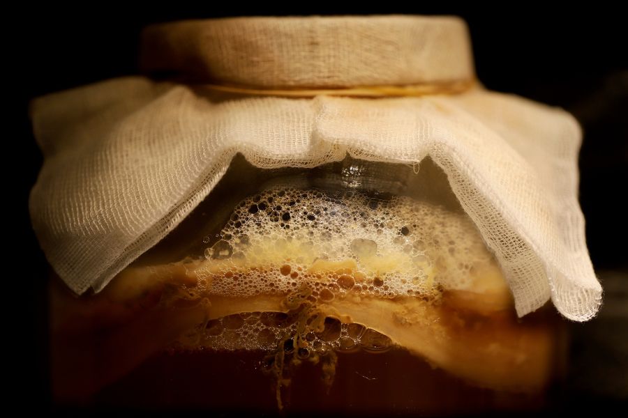 kombucha_